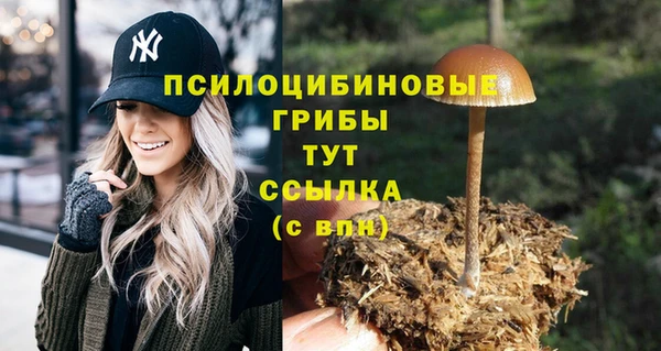 мяу мяу мука Арсеньев
