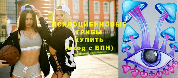 ALPHA PVP Новозыбков